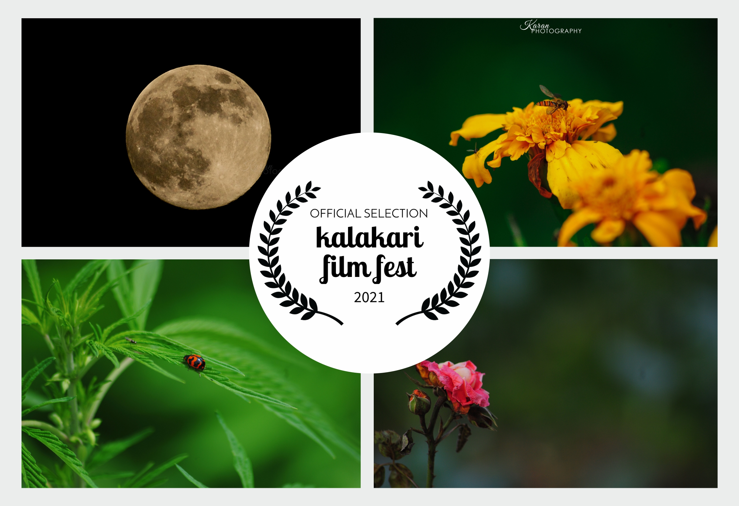 Multimedia student of CT Group Maqsudan win accolades at Kalakari Film Festival